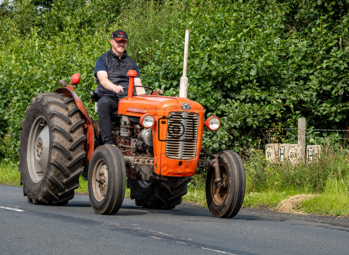 "Classic Massey Ferguson Tractor" stock image