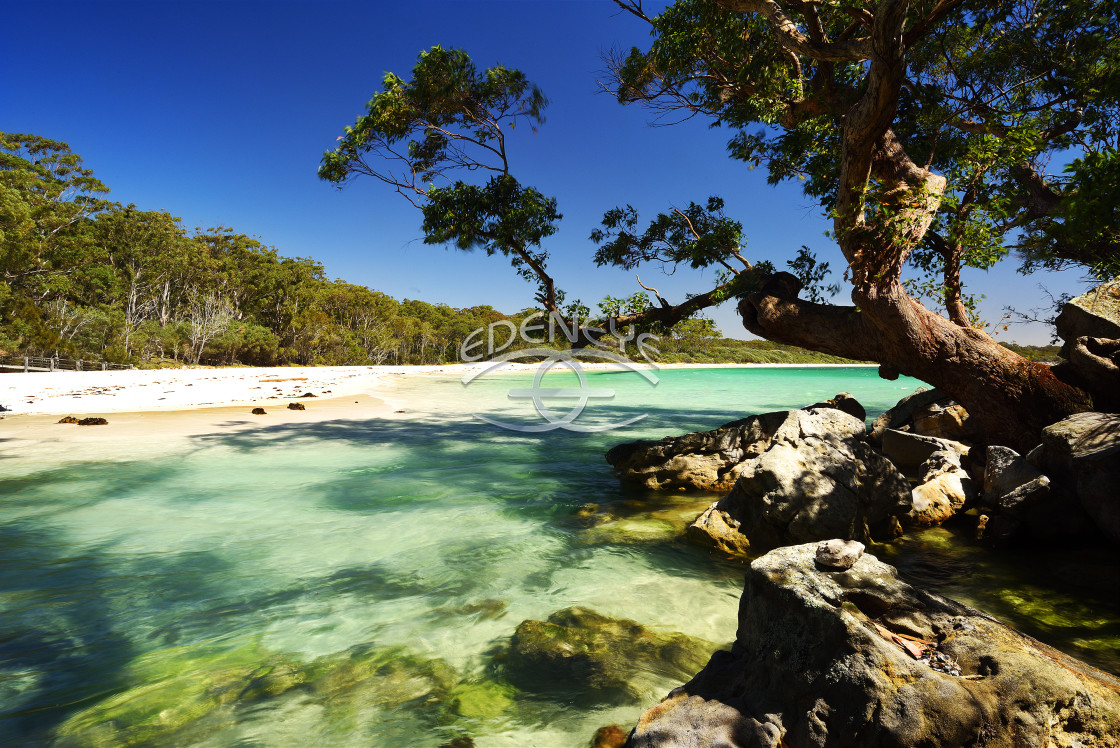 Purchase Digital Downloads And A Range Of Printed Products Of Shaun Edenden S Image Green Patch Beach