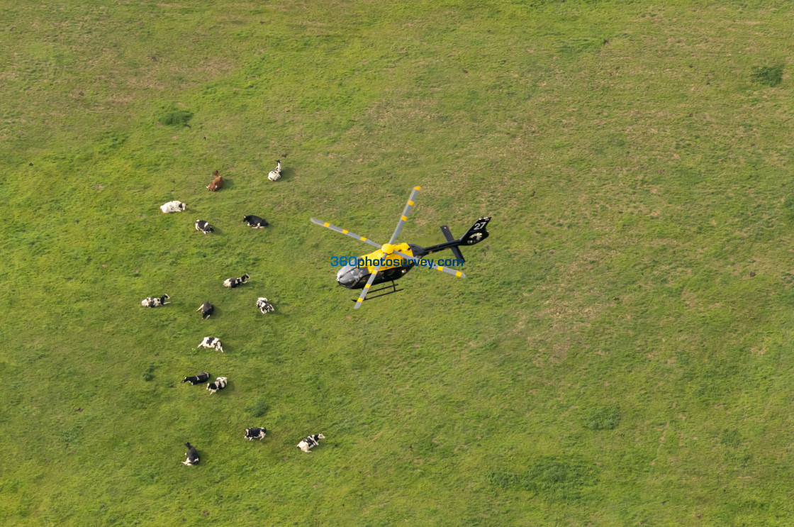 "Air to air photo helicopter training 220922 31" stock image