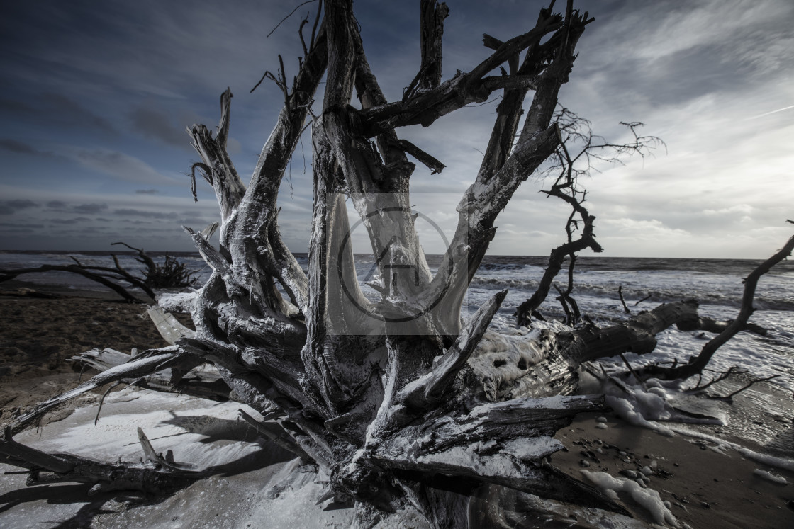 "Covehithe Seascape" stock image