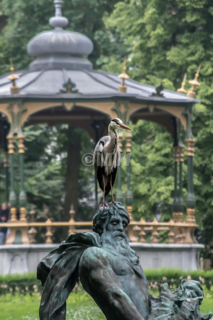 "Great Blue Heron on fountain statue" stock image