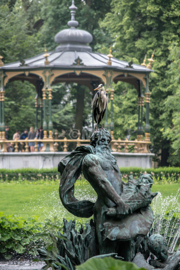 "Great Blue Heron on fountain statue" stock image