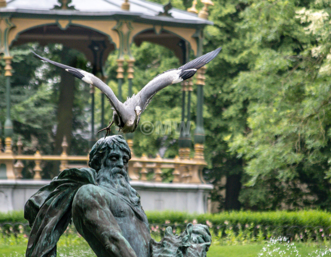 "Great Blue Heron taking off from fountain statue" stock image