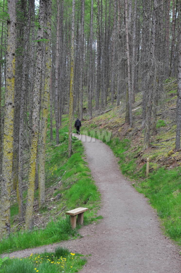 "The Lonely Path" stock image