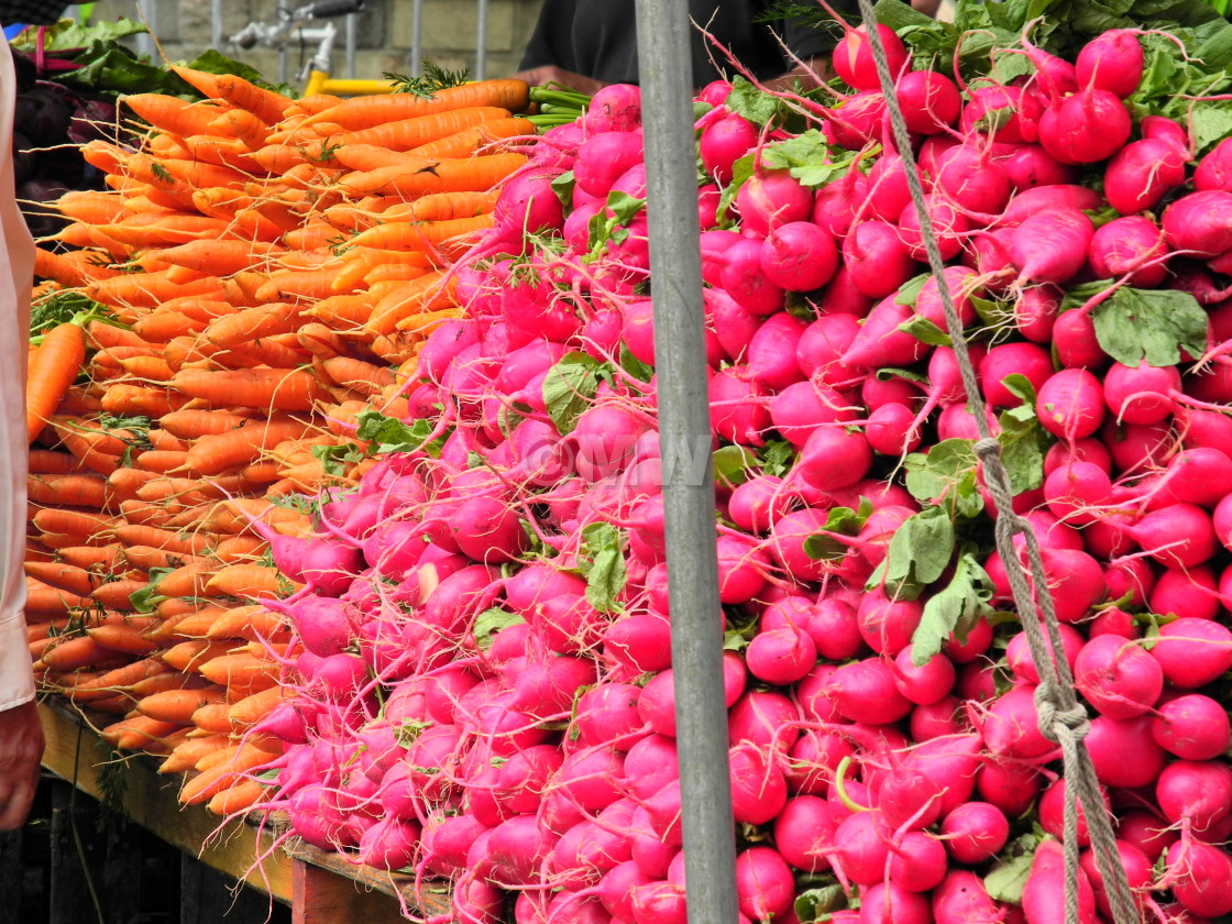 "Radishes and Carrots" stock image