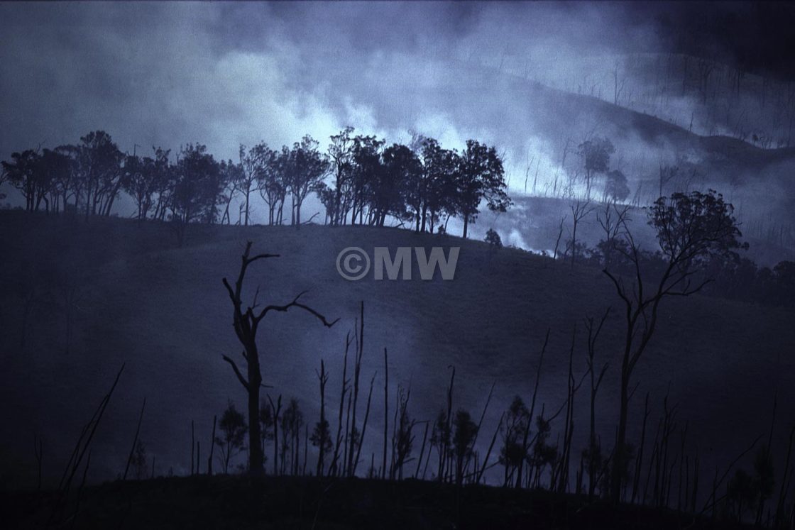 "Bushfire" stock image