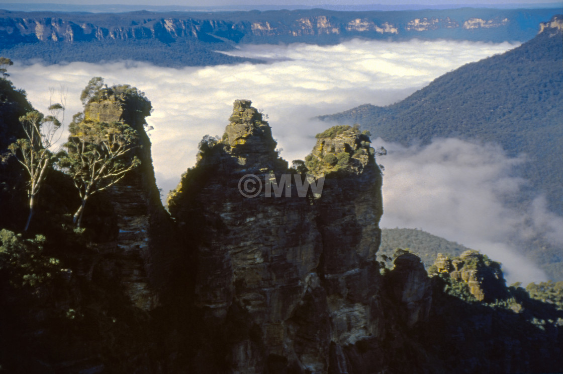 "The Three Sisters over misty Jamison valley" stock image