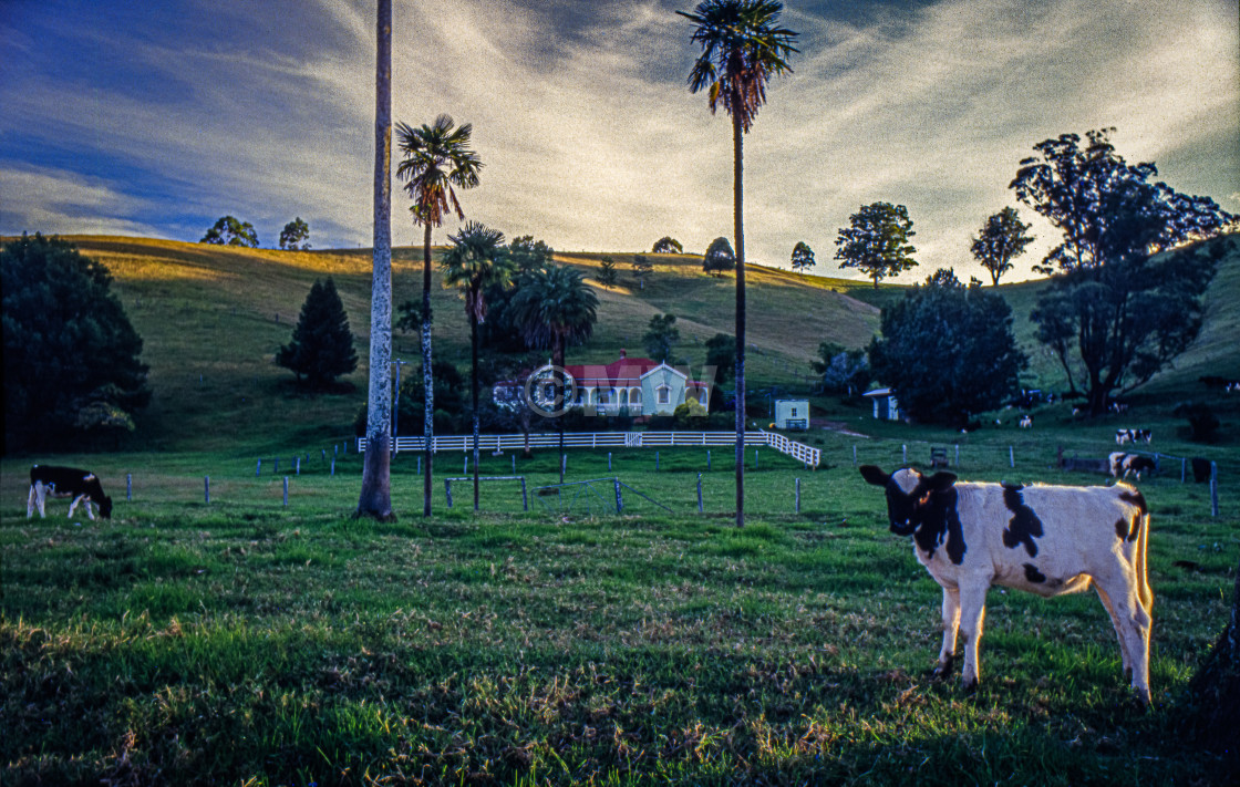 "Idyllic Australian farm" stock image