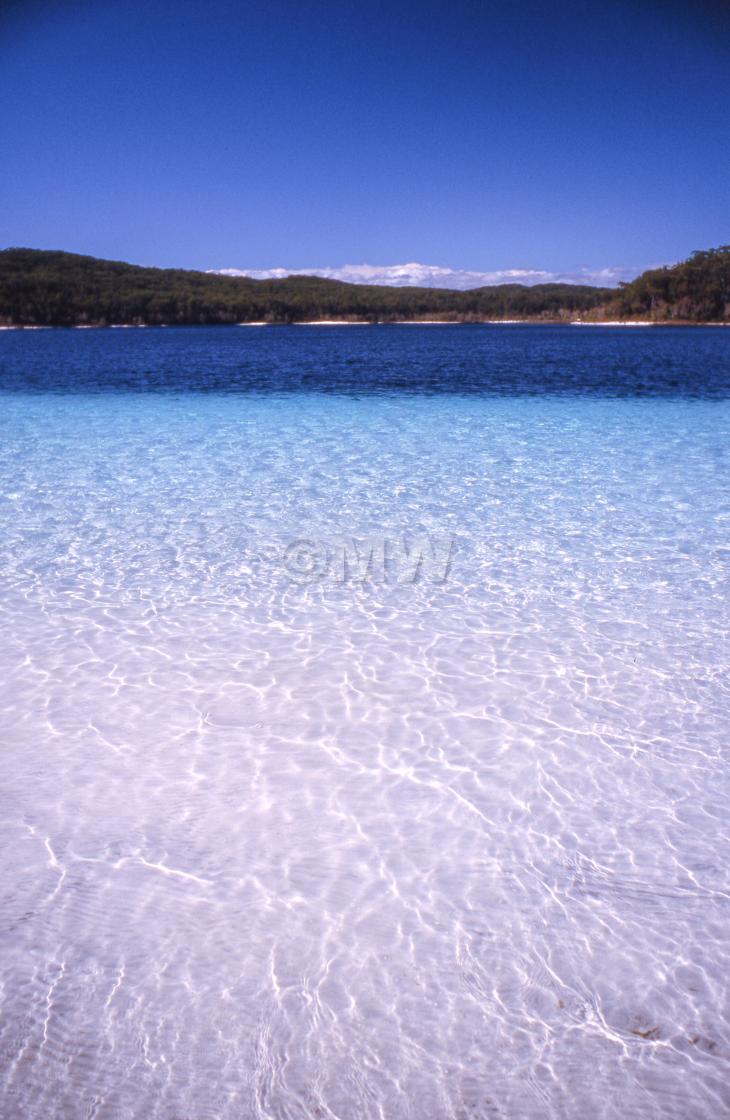 "Lake McKenzie (Boorangoora)" stock image