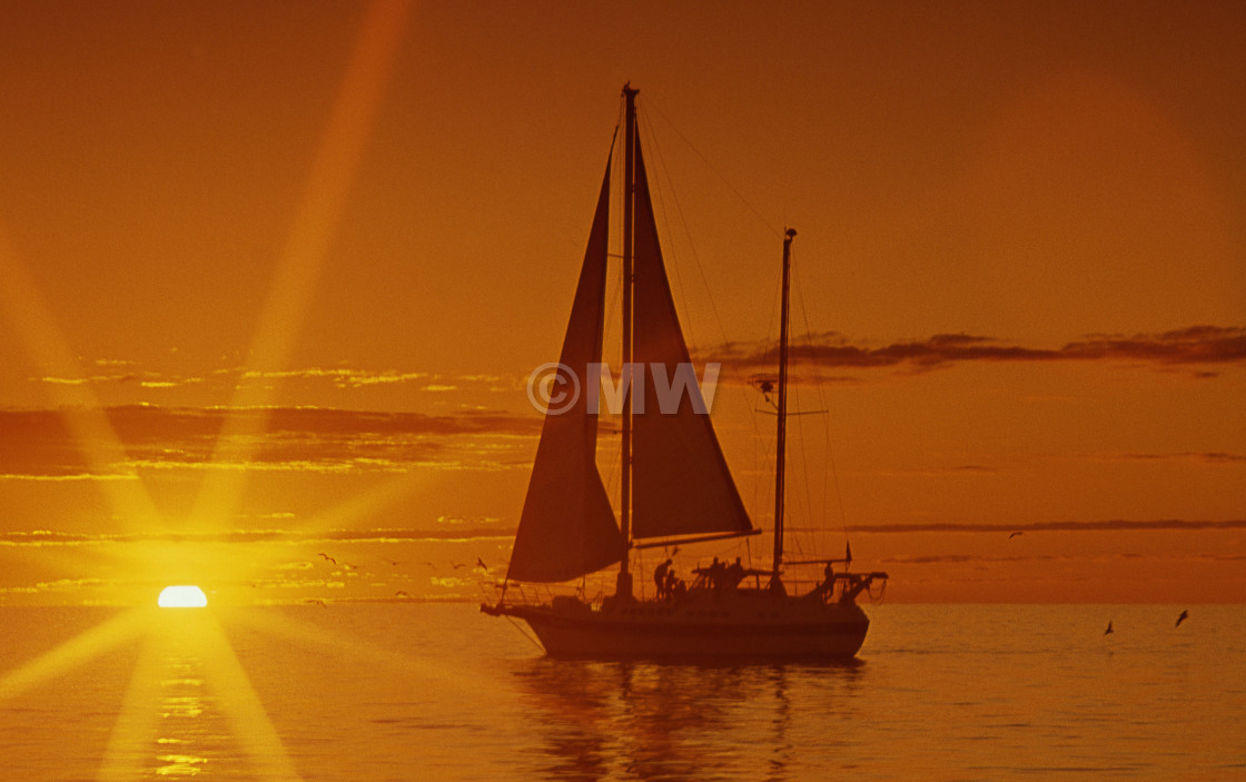 "Whitsunday Islands Sunset Cruise" stock image