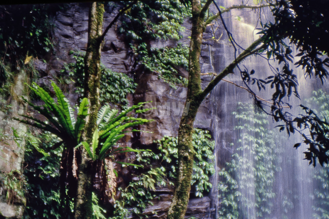 "Crystal Shower Falls" stock image