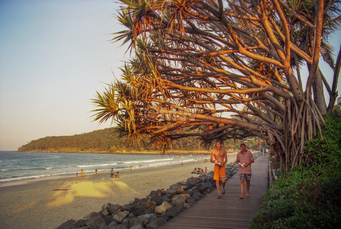 "Noosa Beach Walkway" stock image