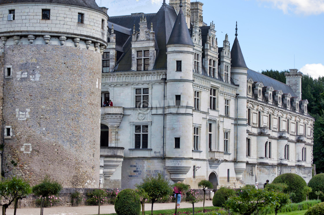 "Chateau de Chenonceau" stock image