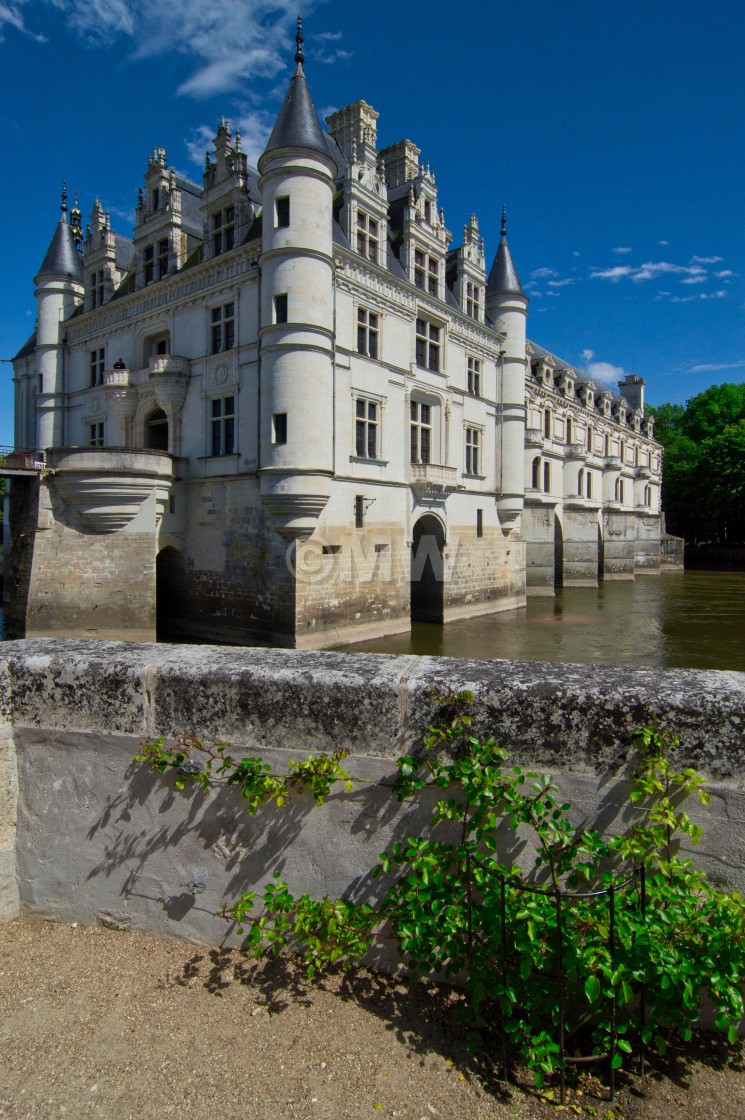 "Chateau de Chenonceau -" stock image