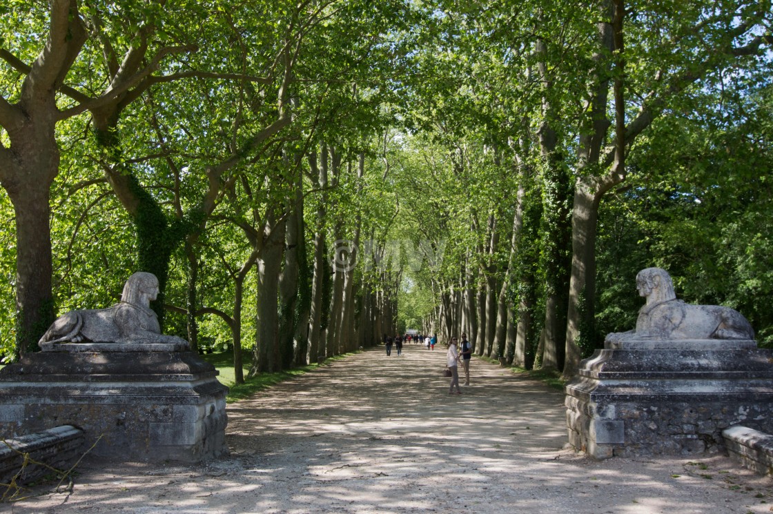 "Chateau de Chenonceau - approach" stock image