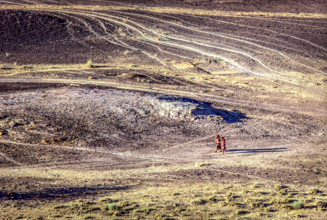 "Thar Desert landscape, Rajasthan, with two figures" stock image