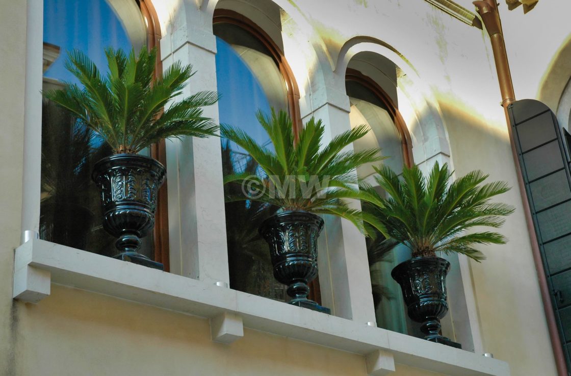 "Townhouse palms" stock image