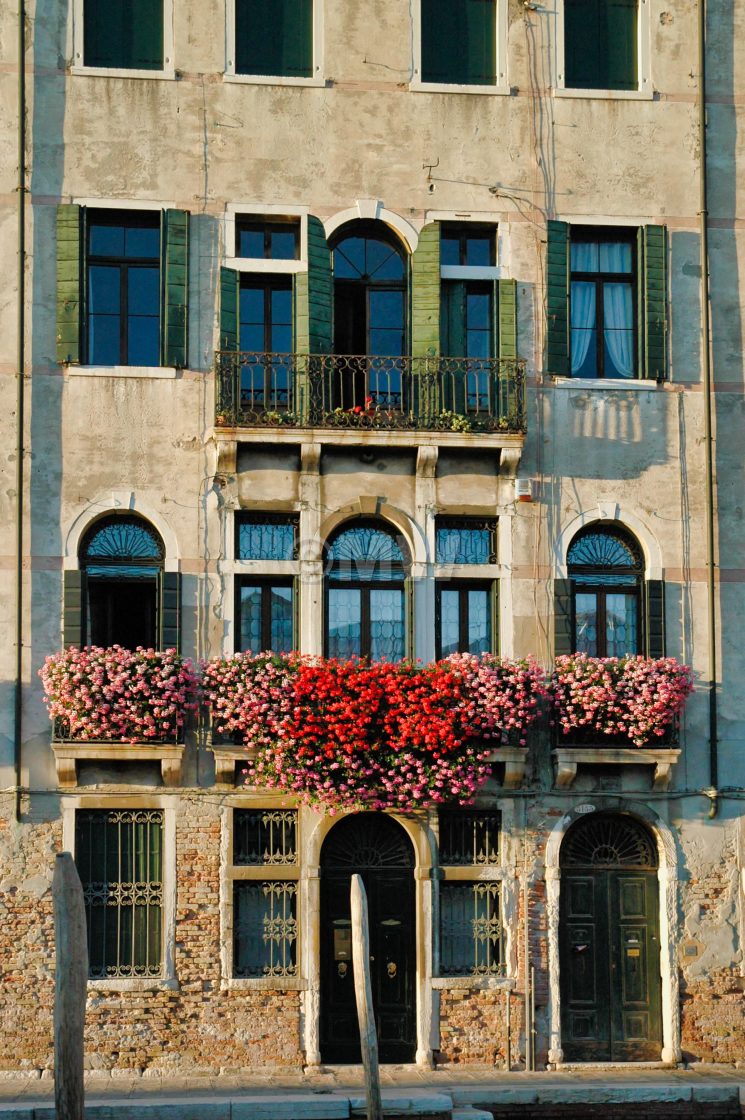 "House with flowers" stock image