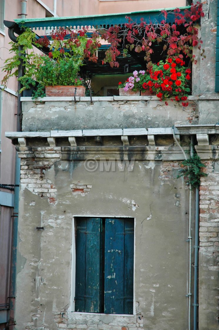 "Roof garden, Venice" stock image