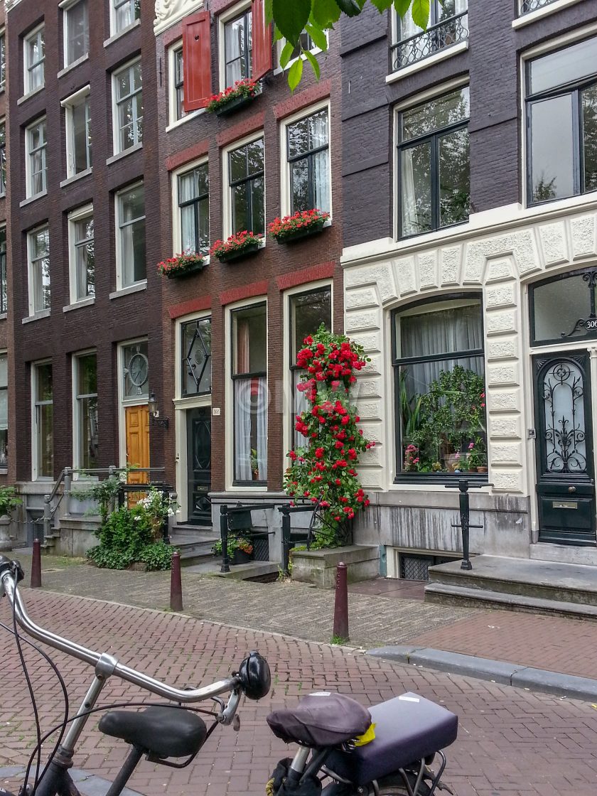 "Herengracht houses with roses and bicycle" stock image