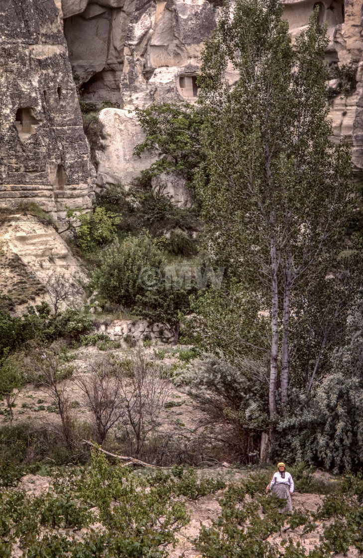 "Farmer beneath cliff dwellings" stock image