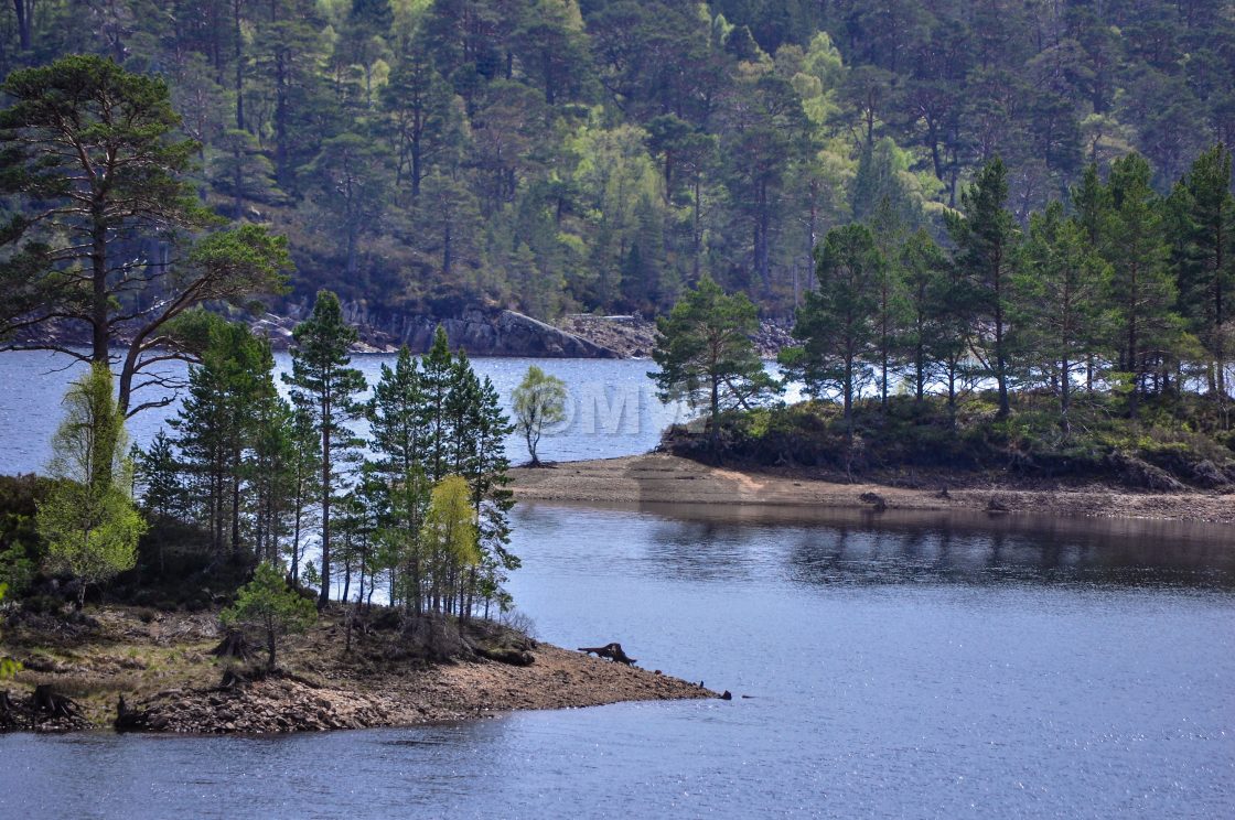 "Glen Affric" stock image