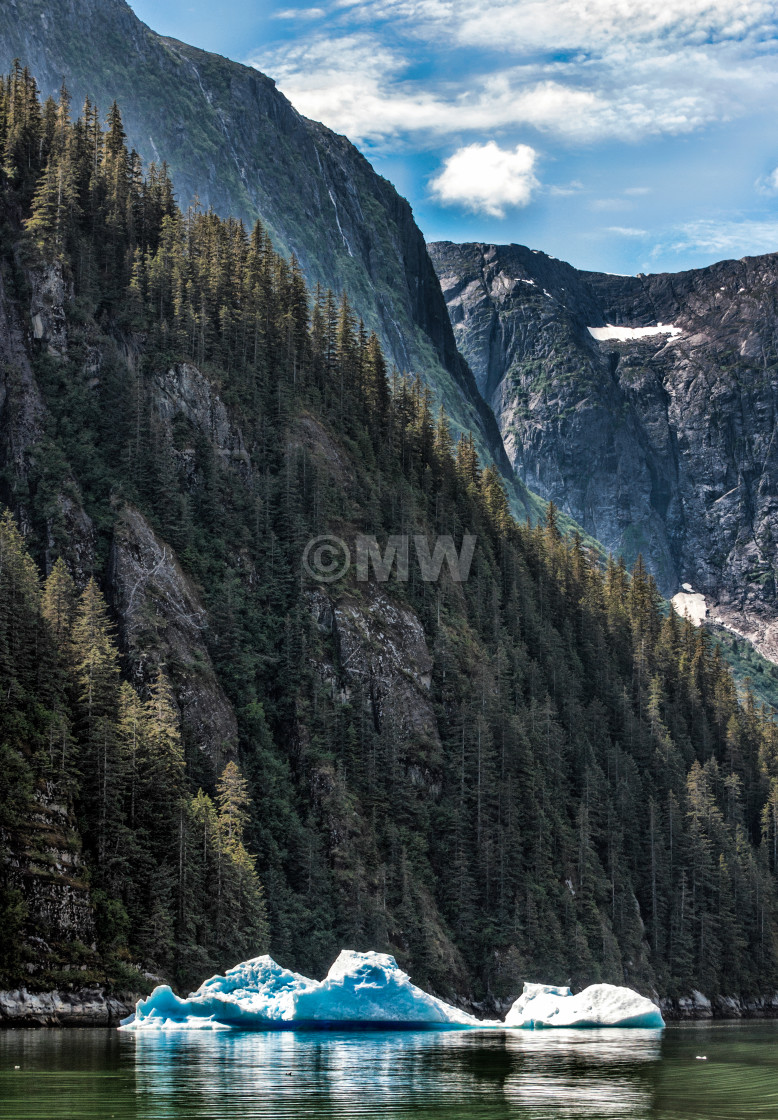 "Tracy Arm Fjord + Icebergs" stock image