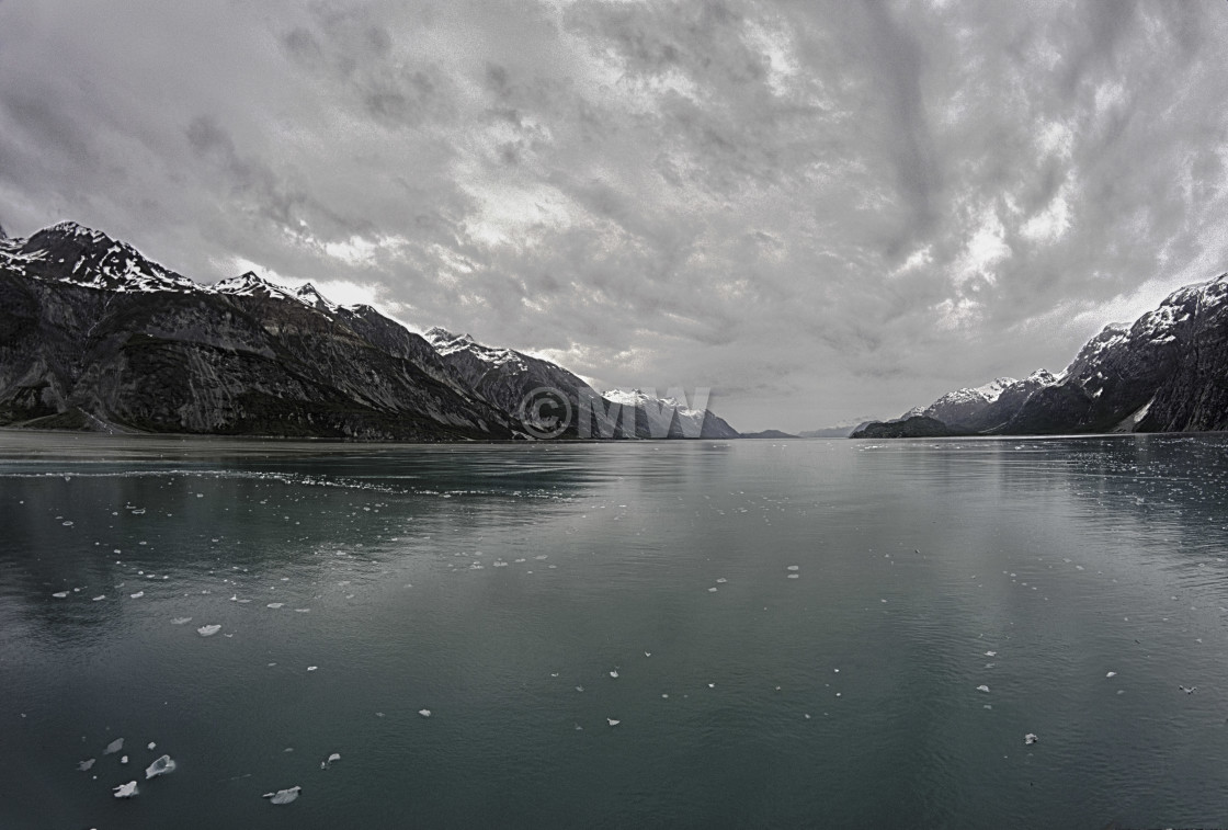 "Tarr Inlet, Glacier Bay" stock image