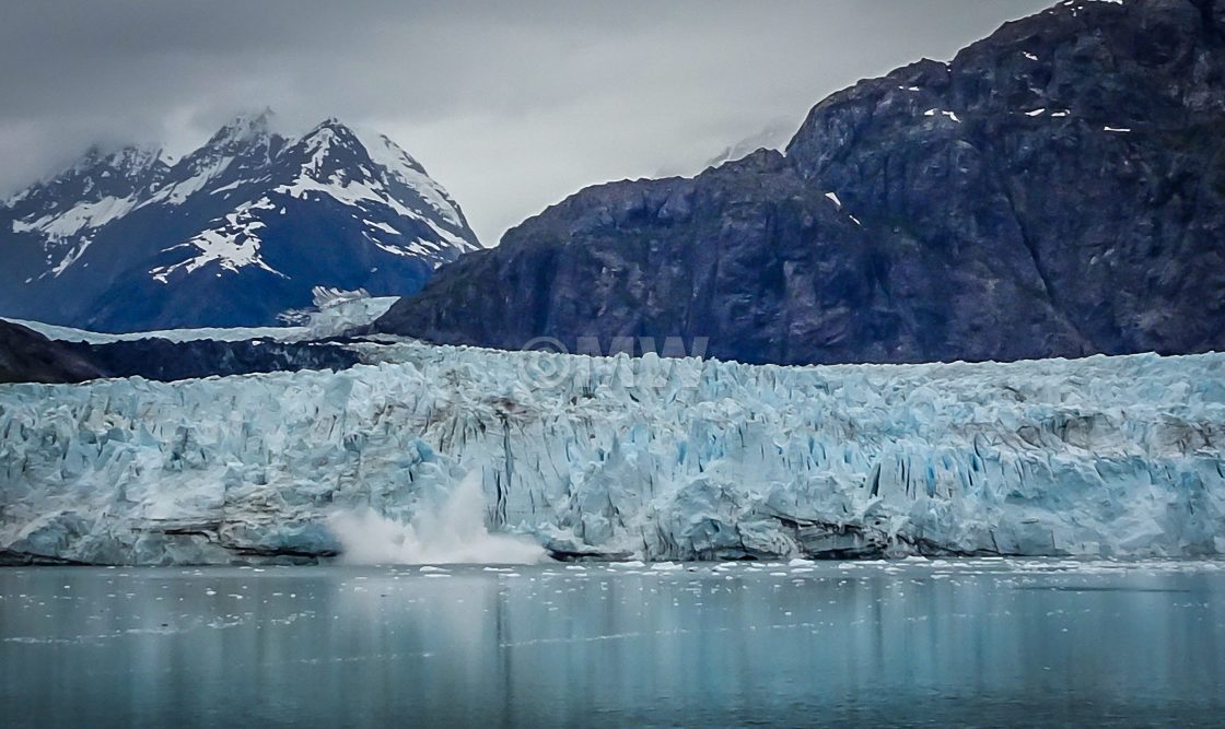 "Margerie Glacier calving" stock image