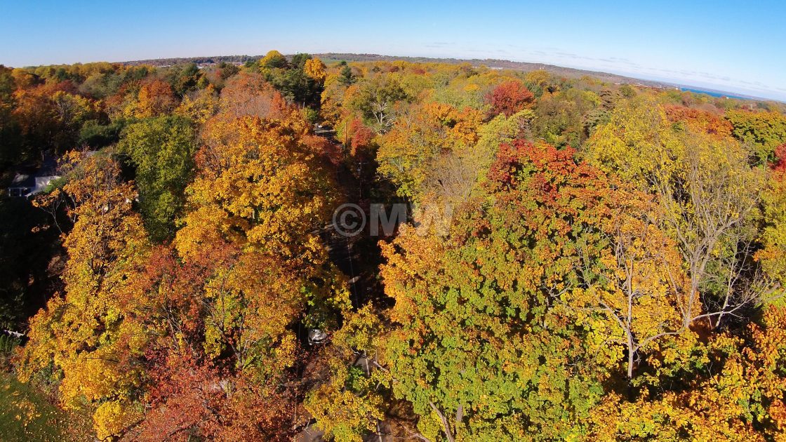 "Autumn foliage aerial, Bryant Ave." stock image