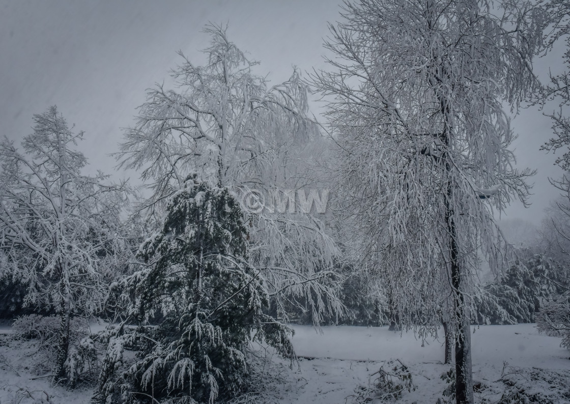 "After the storm" stock image