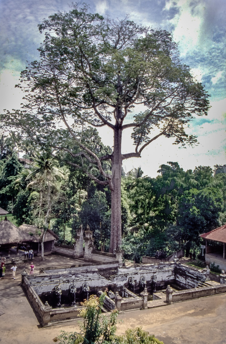 "Goa Gajah temple, Bali" stock image