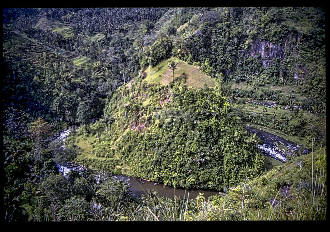 "Ayung River valley" stock image