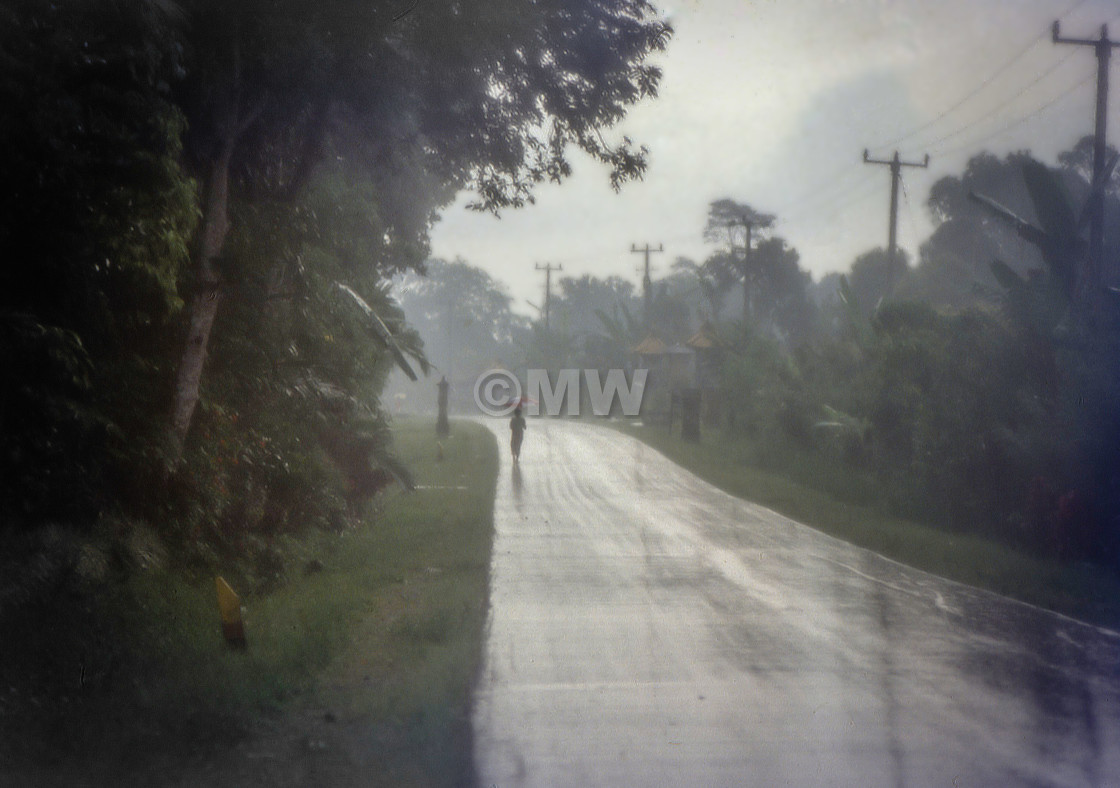 "Rainy Road, Bali" stock image