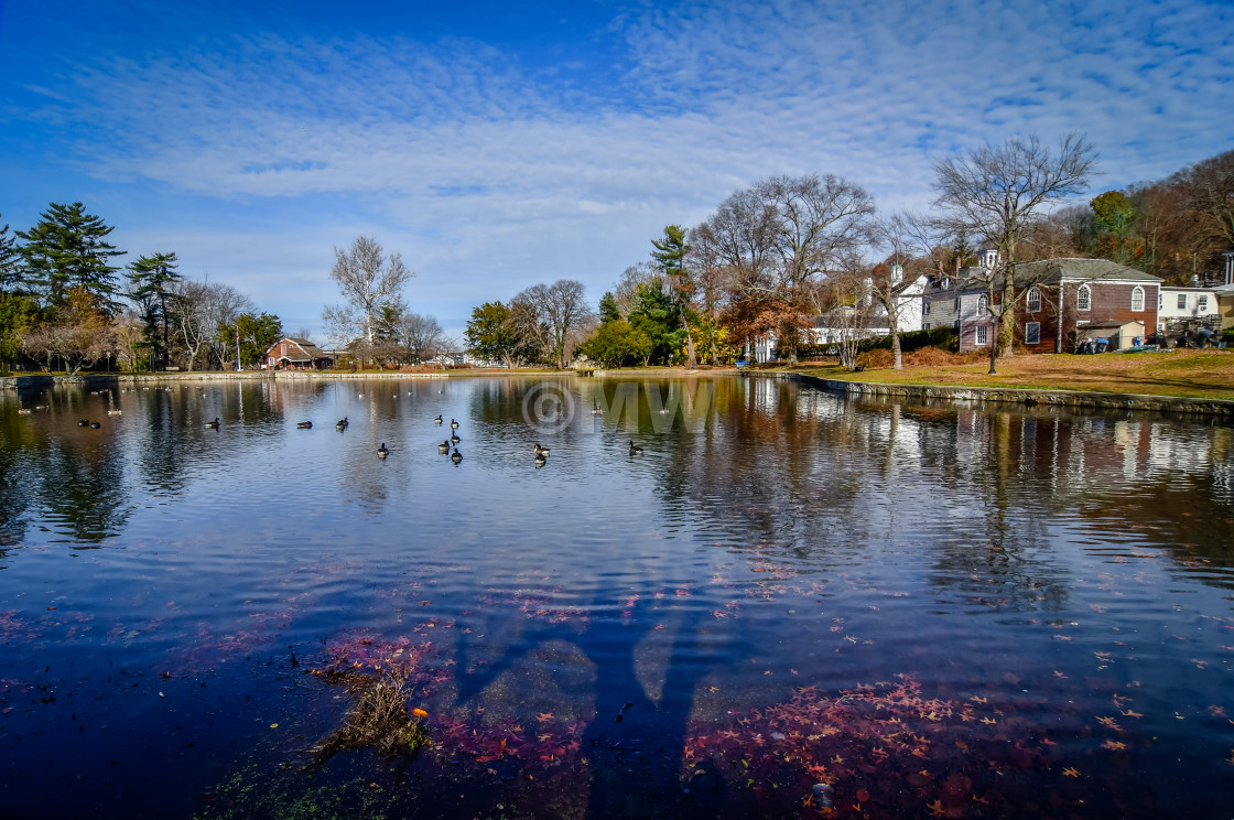 "Roslyn Pond" stock image