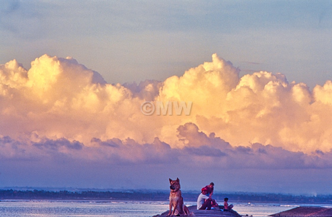 "Balinese & dog on jetty" stock image