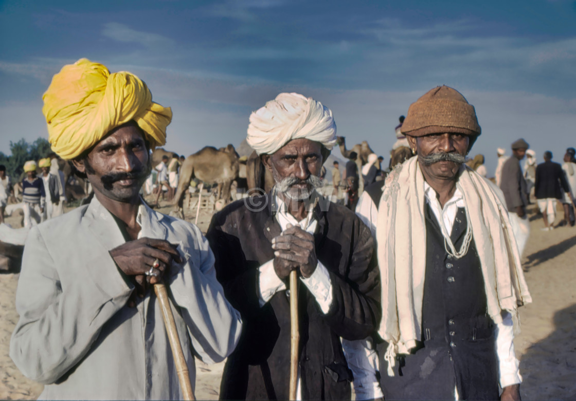 "Three Rajasthani men at Pushkar Mela" stock image