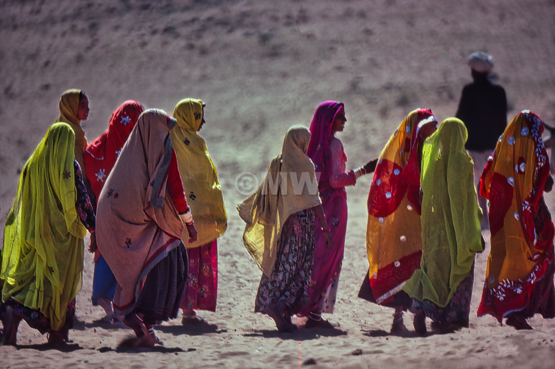 "Women in colorful Rajasthani-style sarees" stock image