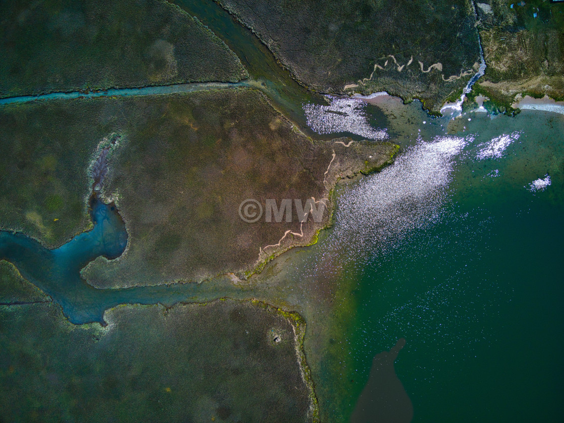 "Wetlands aerial" stock image