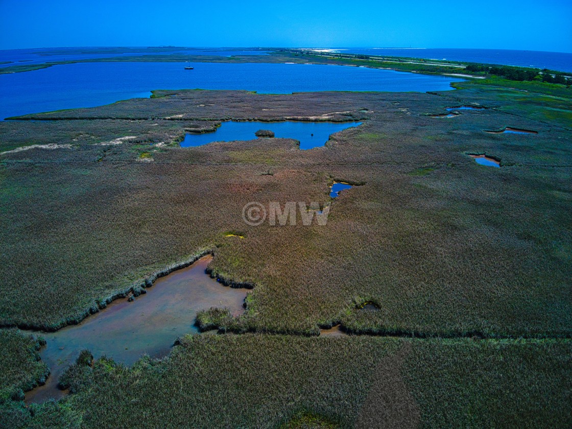 "Wetlands aerial" stock image