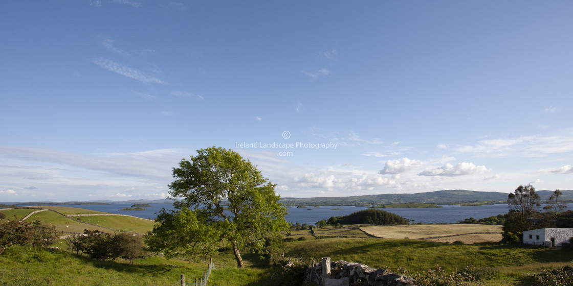 "Lough Corrib & Tree Near Clonbur, Co. Galway, Ireland" by Ireland Landscape Photography - £34.00 "Lough Corrib & Tree Near Clonbur, Co. Galway, Ireland" stock image