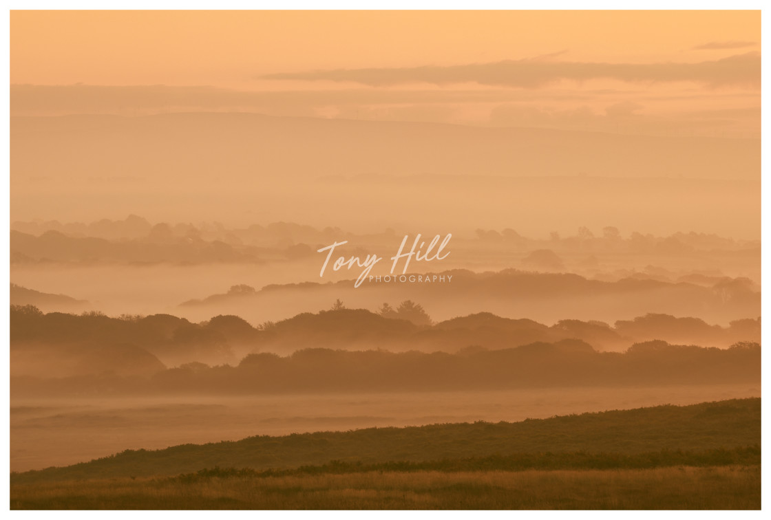 "Misty Morning on The Gower" stock image