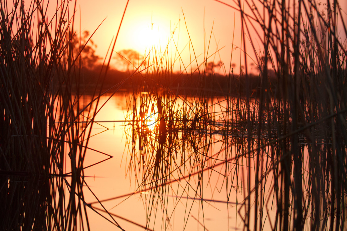 "Sunset In the Delta" stock image