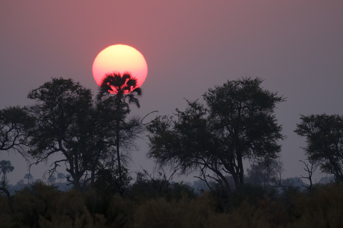 "Sunset In the Delta" stock image