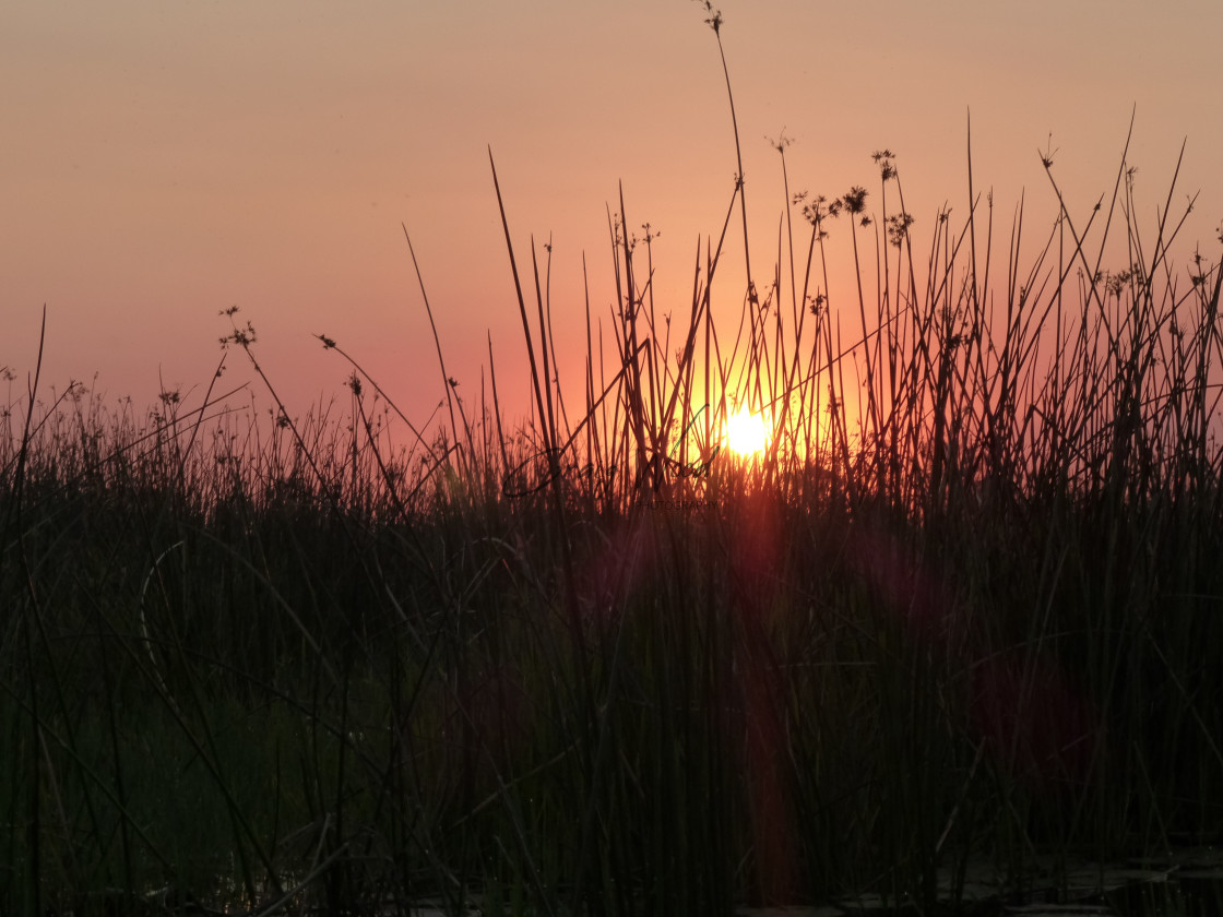 "Sunset In the Delta" stock image