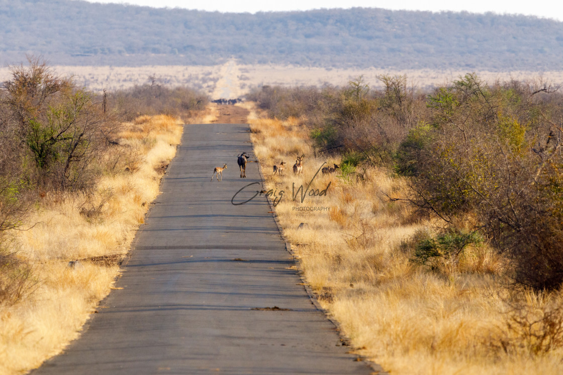 "Long Road To Nowhere" stock image