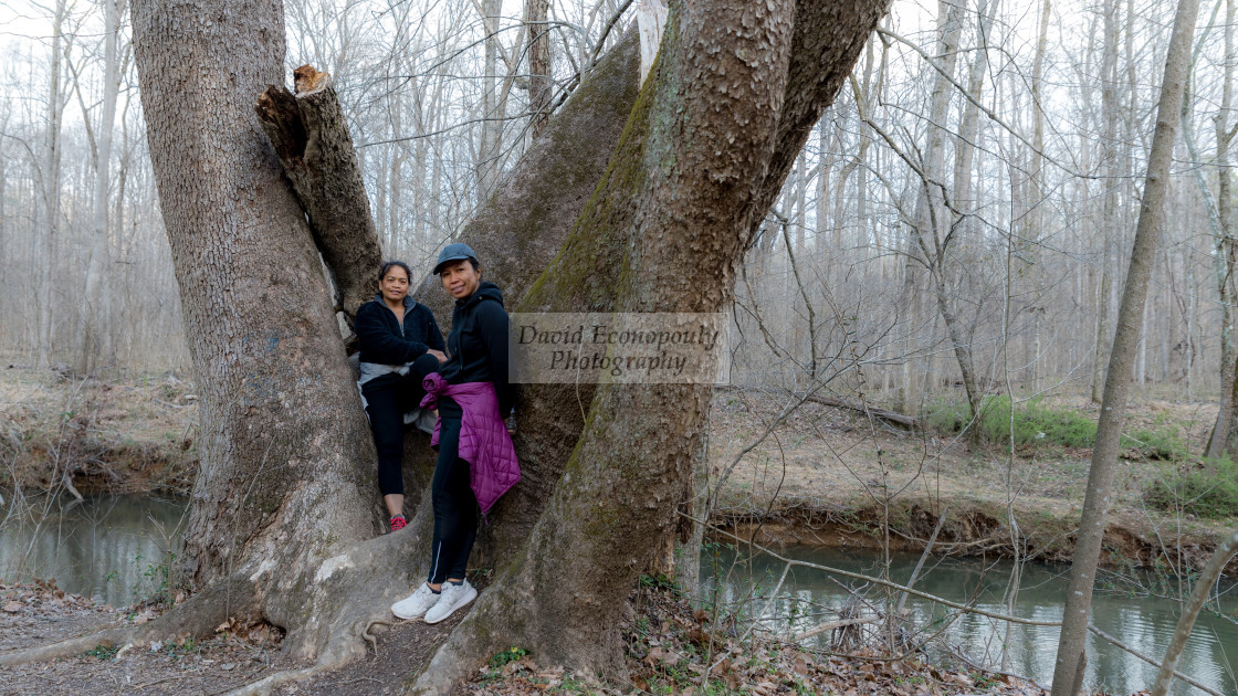 "Two women in coats and sneakers posing by tree in the forest by trail" stock image