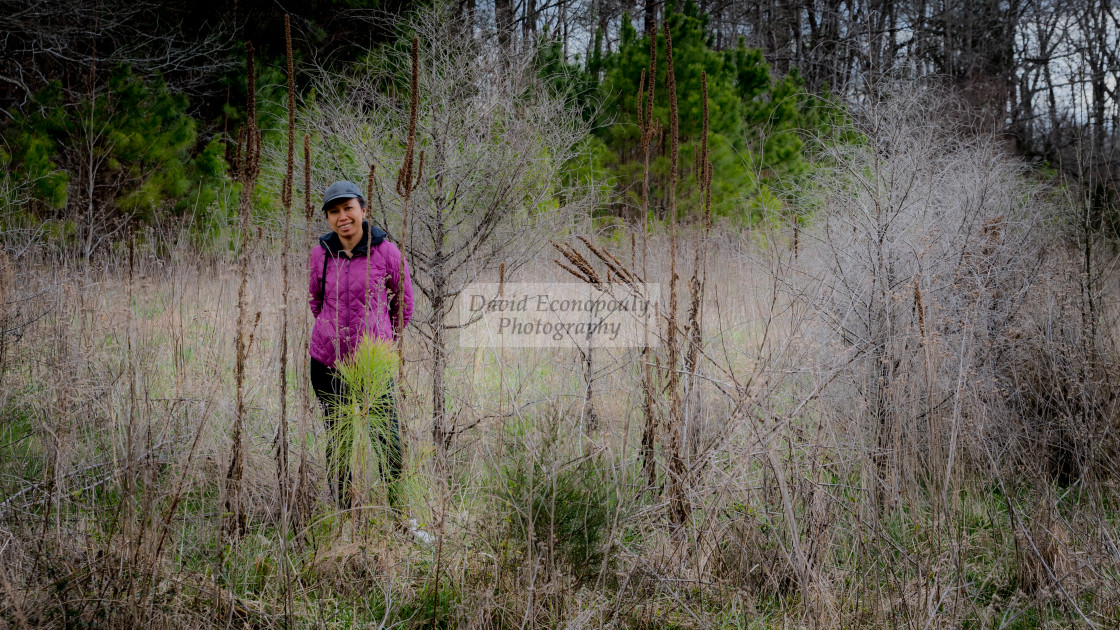 "Woman in cap and purple coat standing amid the brush in a forest" stock image