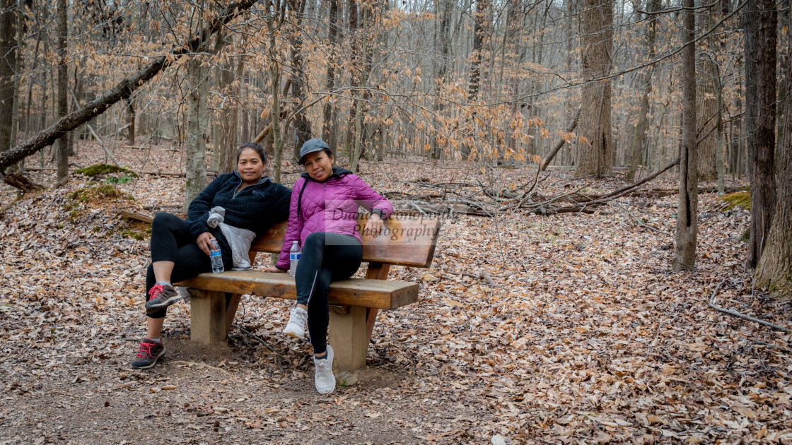 "Two women sitting on a bench in the woods on a winter day" stock image