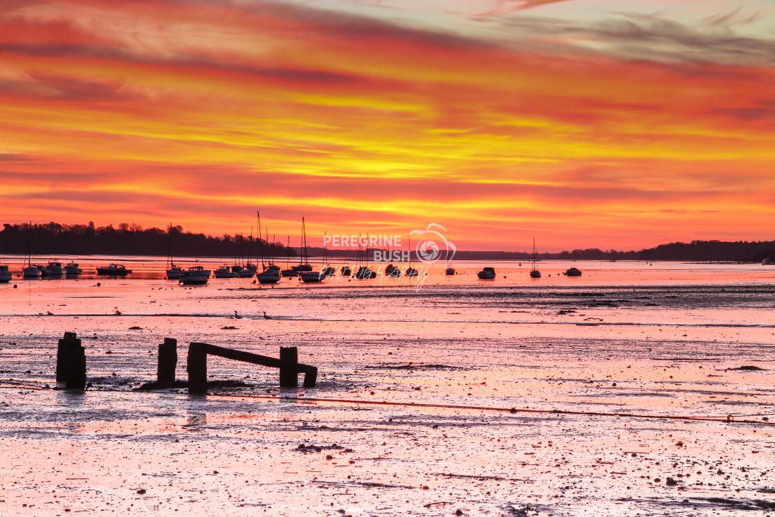 "Morning glow over Freston foreshore" stock image